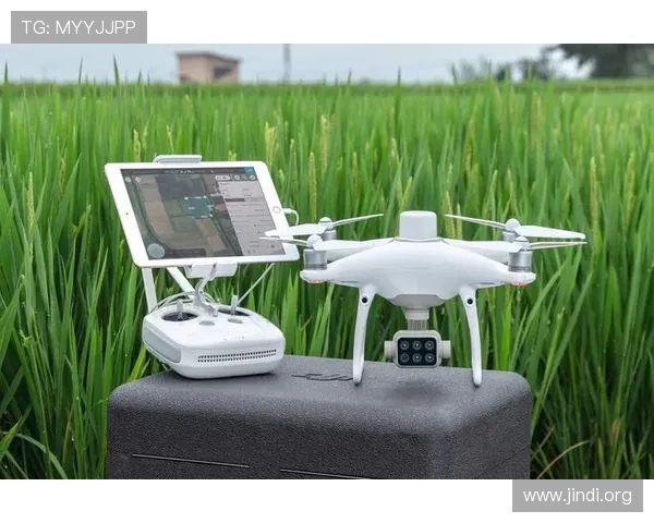 详细解析AG国际厅竞咪厅的优势与特色，尽享线上娱乐的极致乐趣