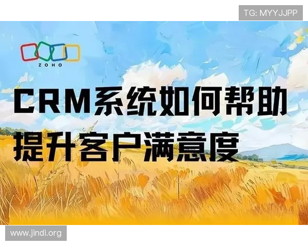 大发国际有限公司的客户服务体系与用户体验优化措施，提升用户满意度的具体实践方案
